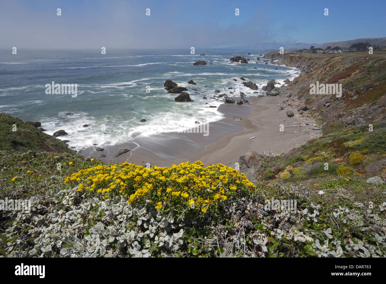 Blick auf den Pazifischen Ozean und die Küste Blumen in Kalifornien Stockfoto