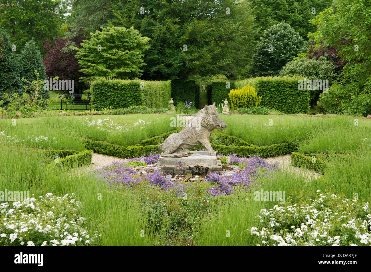 Hog Steinstatue im Garten mit Box Hedge-Grenzen und Lavendelpflanzen im 17. Jahrhundert englisches Landhaus Ampney Park Stockfoto