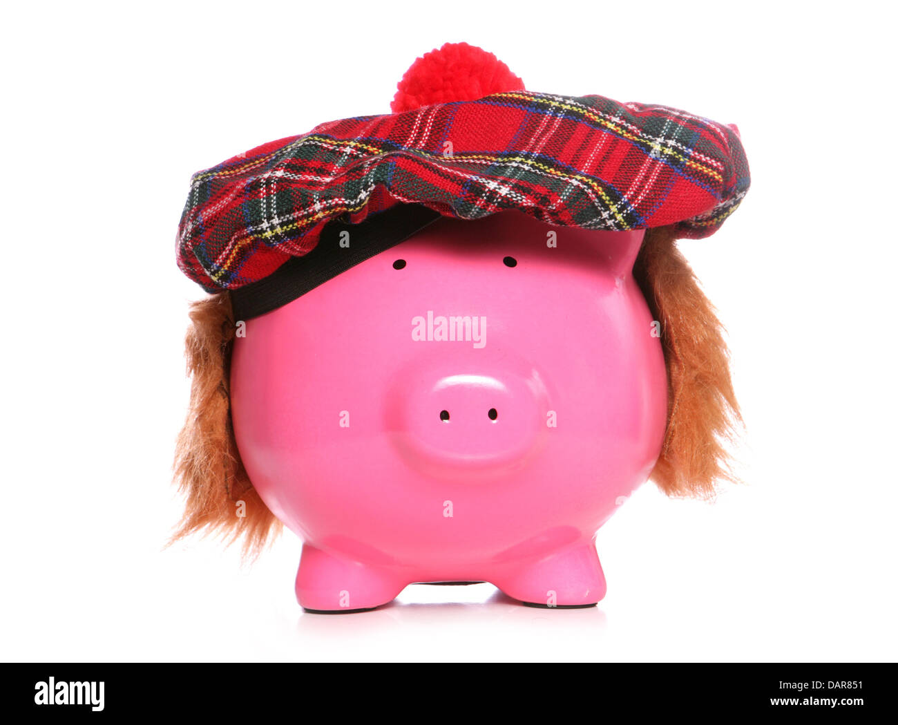 schottische Sparschwein Studio Ausschnitt Stockfoto