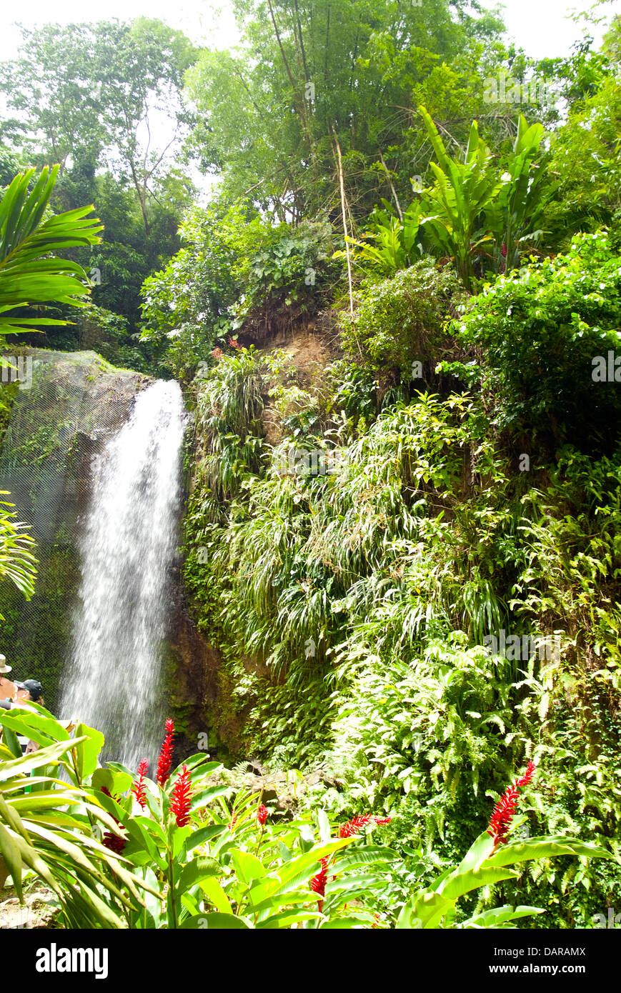 Diamant-Wasserfälle, St Lucia Stockfoto