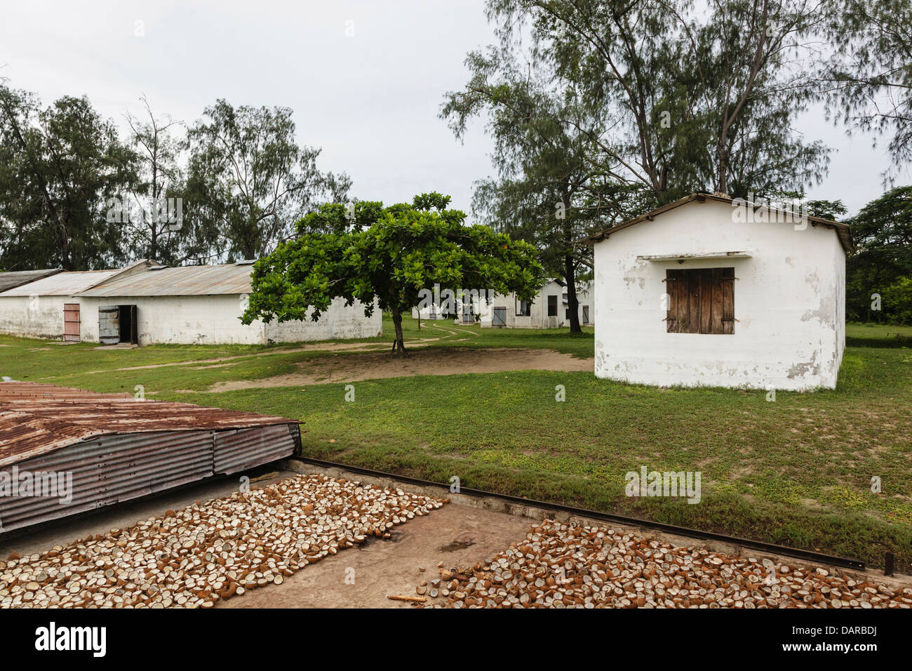 Afrika, Mosambik, Quirimba Insel. Wohnräume in Kokosnuss-Plantage. Stockfoto