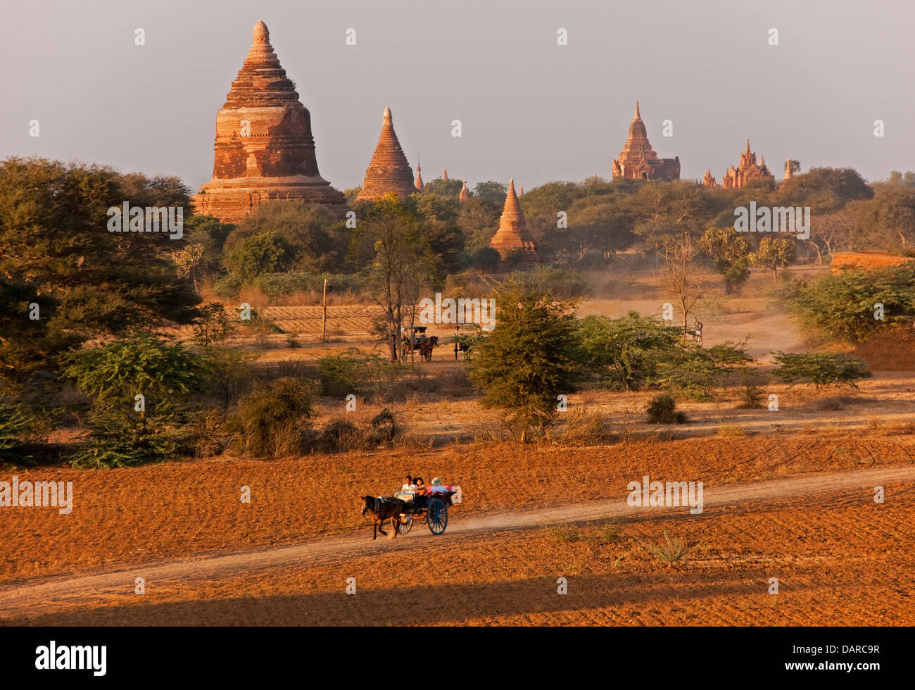 Pferdewagen vorbei an Ruinen von alten Tempeln und Stupas auf Ebene von Bagan in Myanmar. Stockfoto