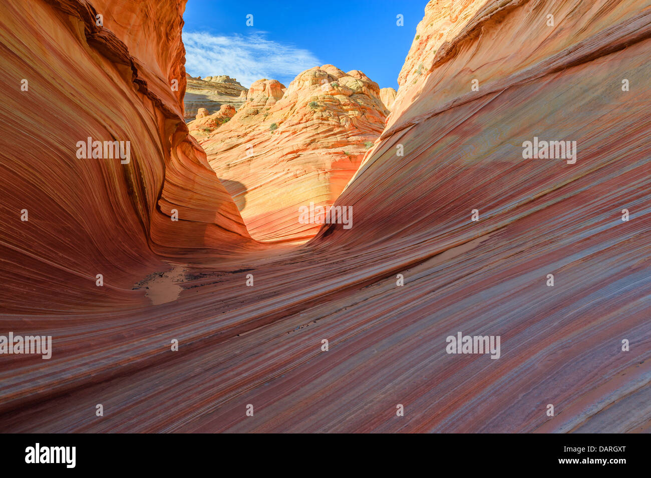 Felsformationen in den North Coyote Buttes, Teil der Vermilion Cliffs National Monument. Dieser Bereich ist auch bekannt als The Wave. Stockfoto