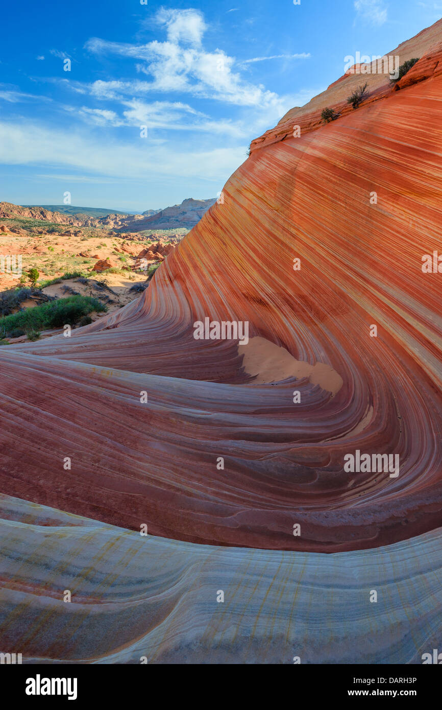 Felsformationen in den North Coyote Buttes, Teil der Vermilion Cliffs National Monument. Dieser Bereich ist auch bekannt als The Wave. Stockfoto