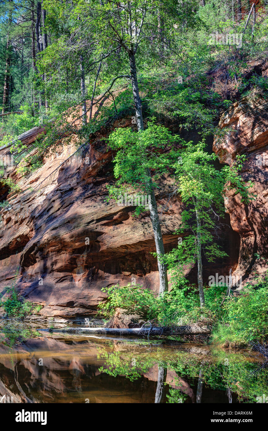 USA, Arizona, Sedona, Oak Creek Canyon West Fork Trail Stockfoto