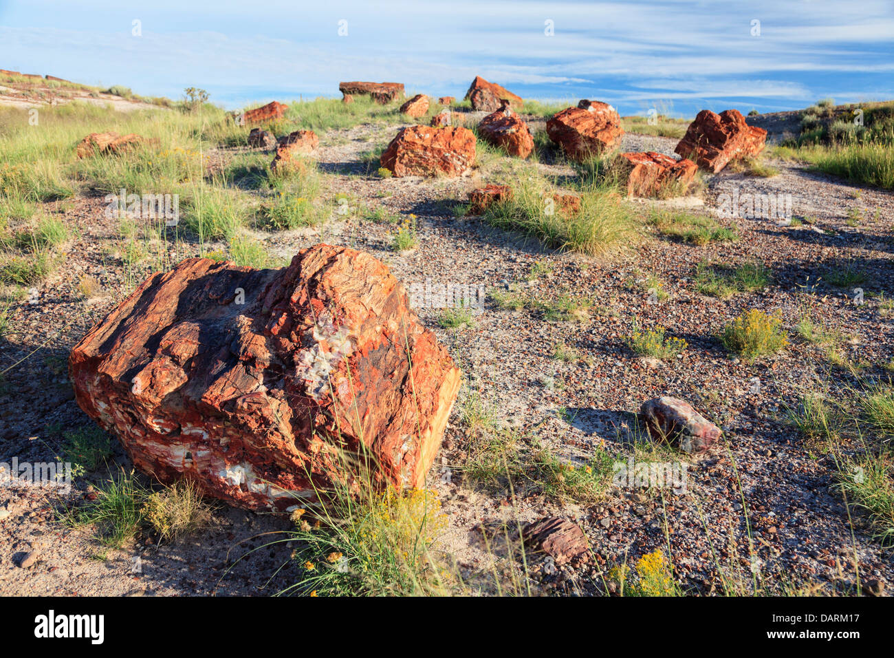 USA, Arizona, Holbrook, Petrified Forest Nationalpark, versteinerte Holz auf Giant Logs Trail Stockfoto