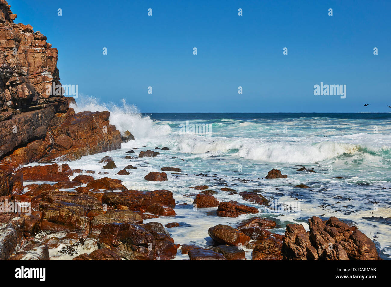 Wellen des Atlantischen Ozeans brechen die Felsen von Kap der guten Hoffnung, Cape Town, Western Cape, Südafrika Stockfoto