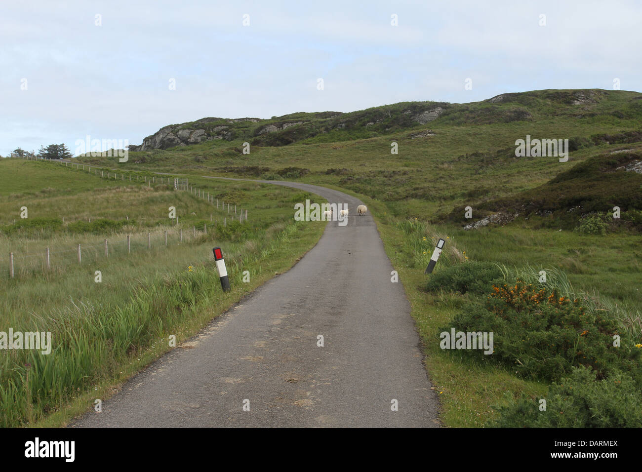 Straße Insel colonsay Schottland juni 2013 Stockfoto