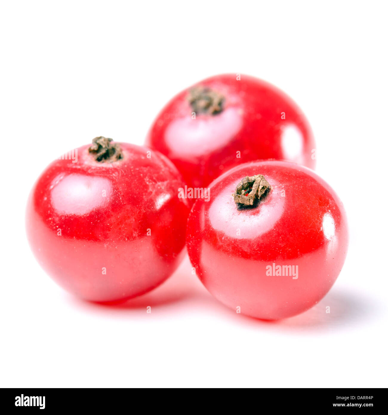 mehrere rote Johannisbeeren vor dem weißen Hintergrund isoliert Stockfoto