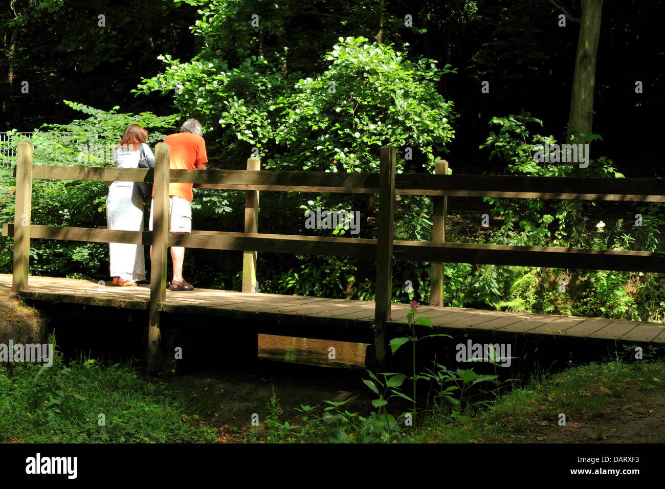 Botanische Gärten, Glasgow, Schottland, Großbritannien. 18. Juli 2013. Menschen, die das anhaltende schöne Wetter auf verschiedene Weise genießen. Paul Stewart / Alamy News Stockfoto