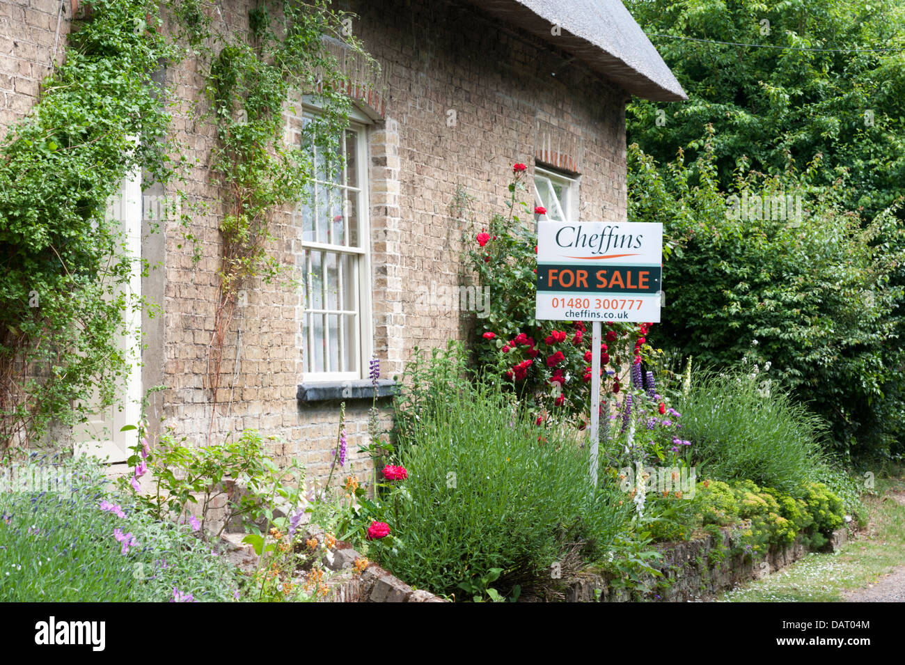Ein altes Reetdachhaus-Landhaus zu verkaufen in Cambridgeshire UK mit für Verkauf Board außerhalb Stockfoto