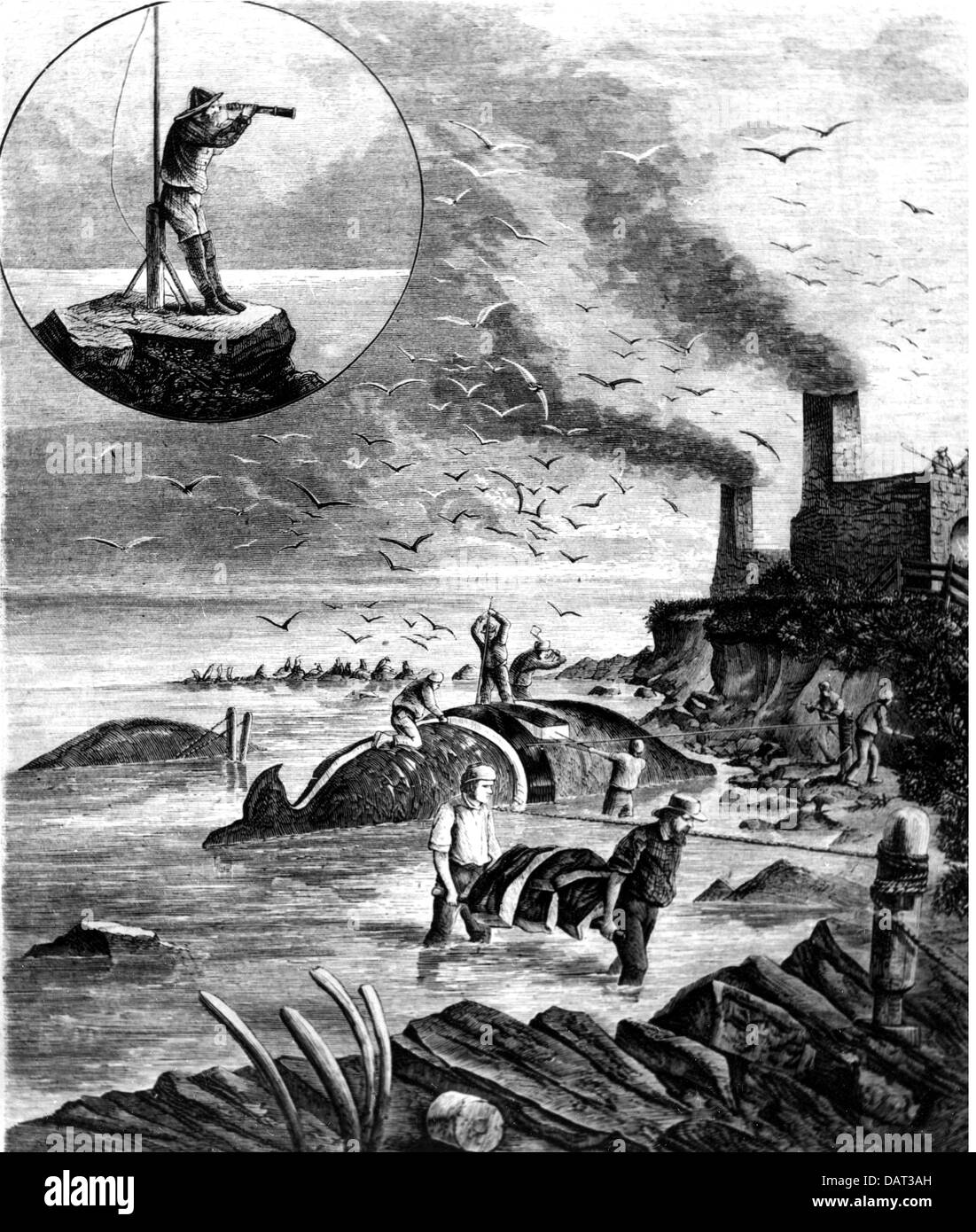 Angeln, Walfang, Walfangstation an der kalifornischen Küste, Holzstich, 1878, zusätzliche-Rights-Clearences-nicht vorhanden Stockfoto