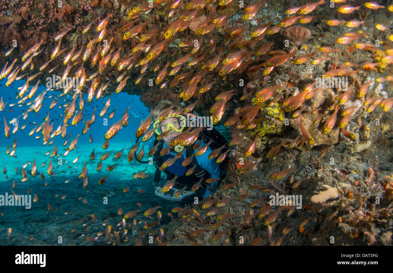 Blonde Frau Taucher in Unterwasserhöhle umgeben von Glasfischen Stockfoto