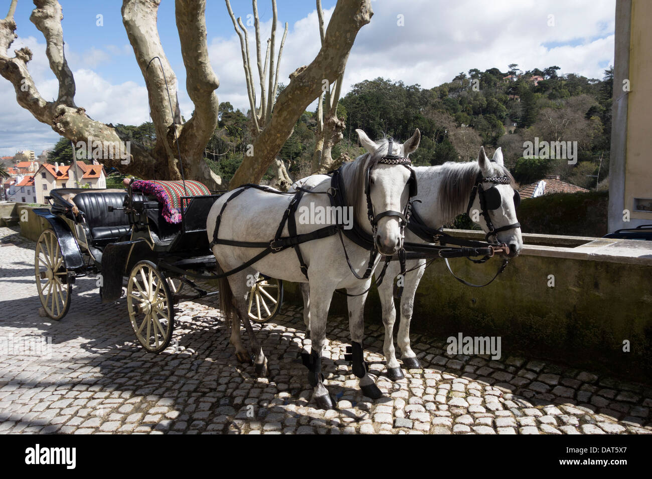 Pferdekutsche in Sintra, Portugal, Europa Stockfoto