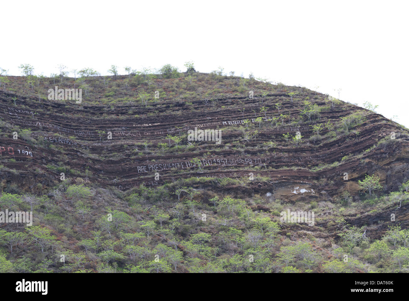 Tagus Cove, Isabela Island, GalapagosInseln, Ecuador Stockfotografie