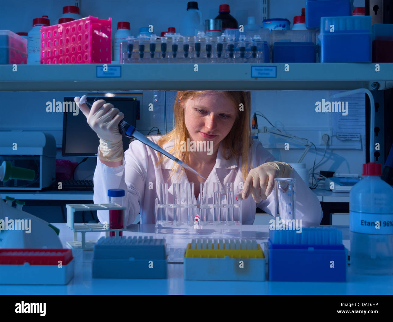 Wissenschaftler arbeiten im Labor Stockfoto