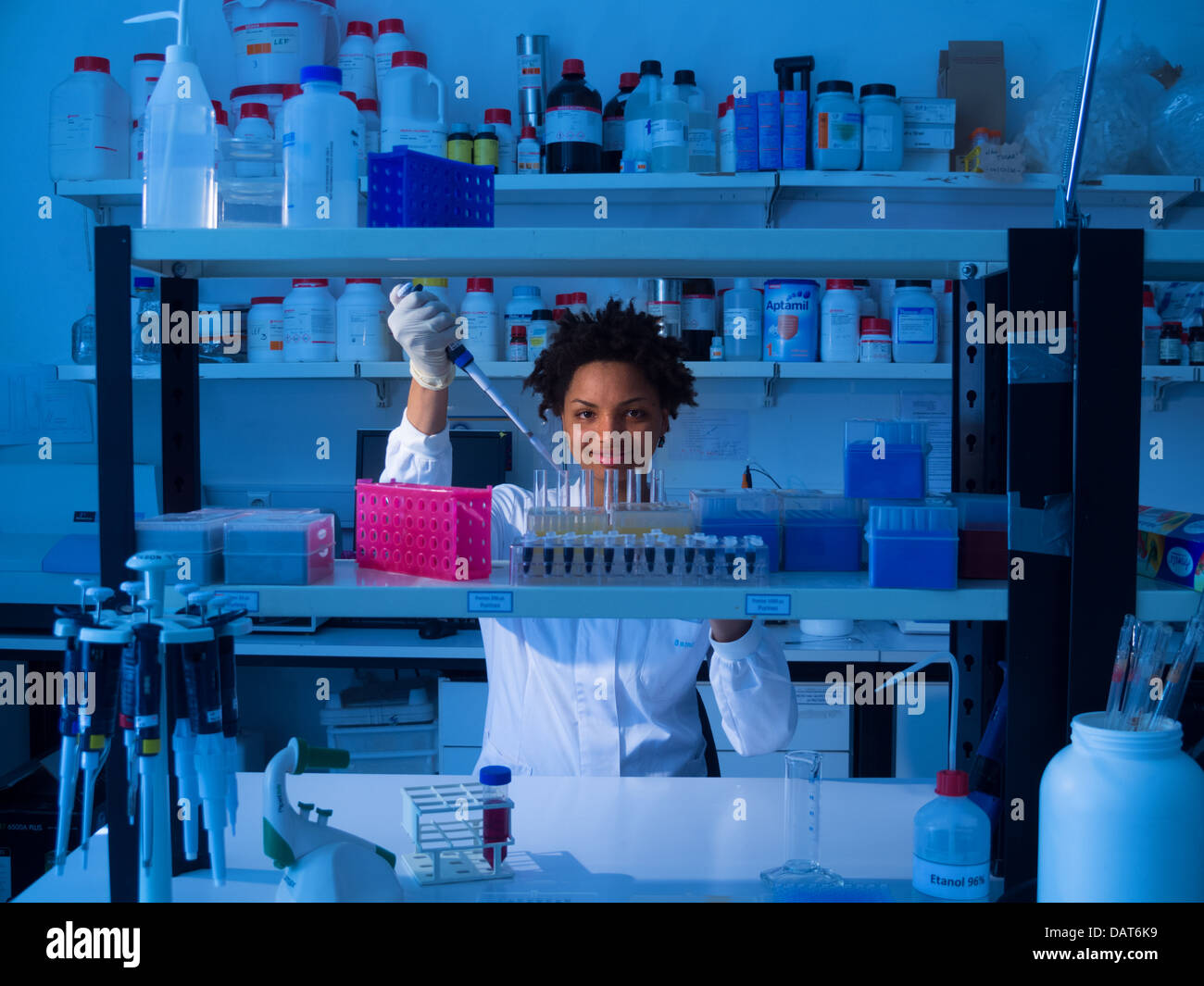 Wissenschaftler arbeiten im Labor Stockfoto