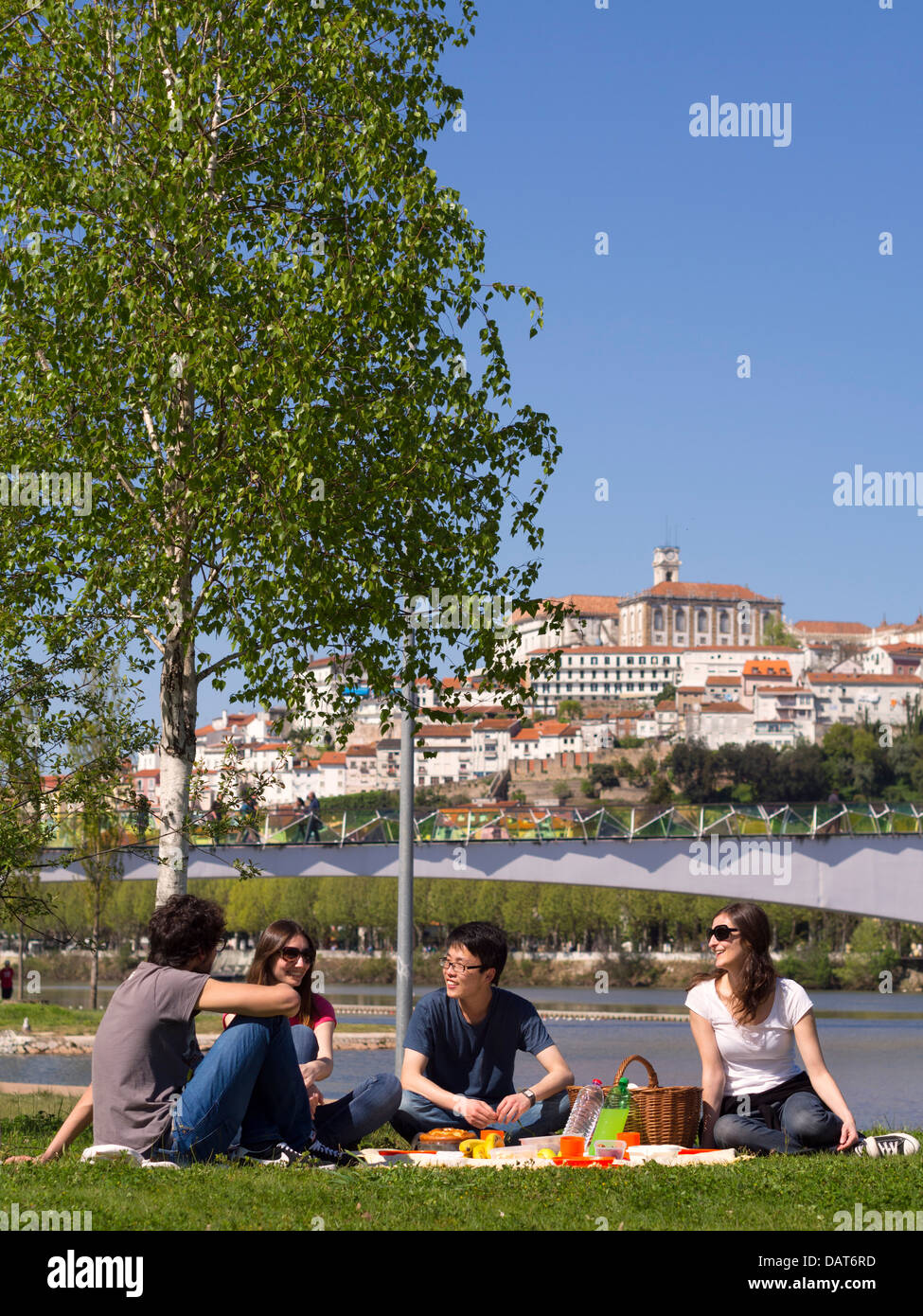 Junge Leute haben ein Picknick in Coimbra, Portugal, Europa Stockfoto