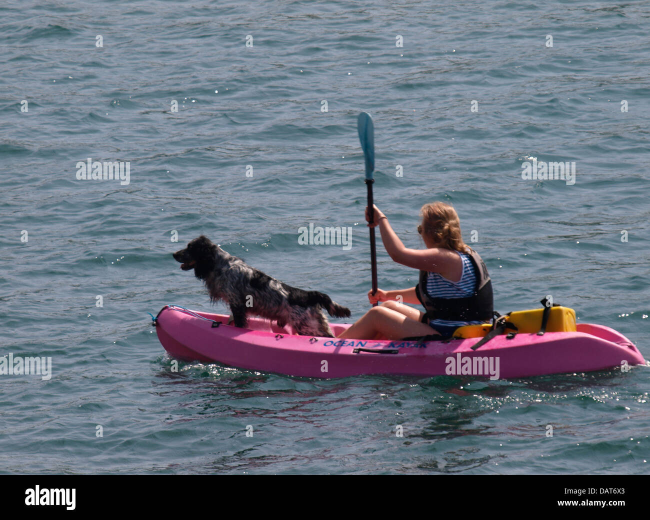 Frau paddeln einen sitzen auf Kayak mit Hund stehen auf der Vorderseite, Devon, UK 2013 Stockfoto