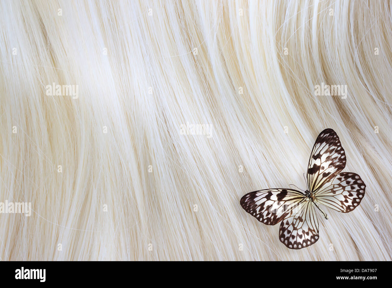 Gesundes blondes Haar mit einem Papier-Drachen Schmetterling - Nahaufnahme Bild Stockfoto