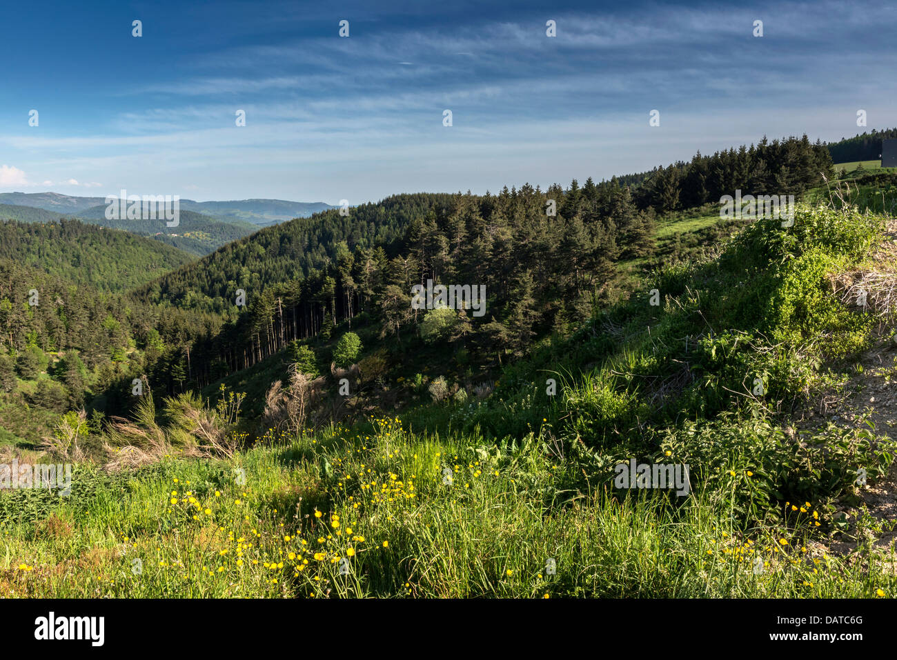 Panoramablick auf den Panoramablick auf die Landschaft der Haute - Loire. Auvergne. Frankreich Stockfoto