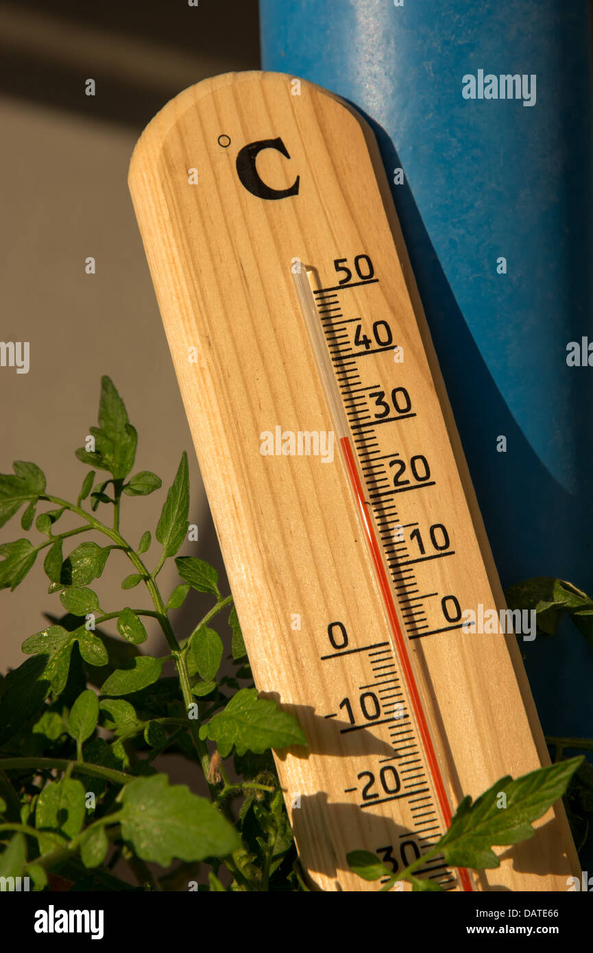 Thermometer mit Grüne Pflanze bei Sommerhitze Wetter Stockfoto