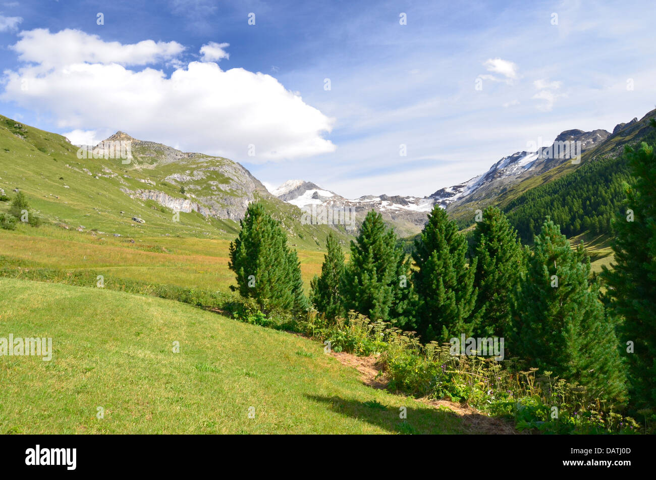 Val Fex ist ein Seitental vom Oberengadin in der Schweiz, befindet sich auf einer Höhe von etwa 1800 bis 2000 Meter. Stockfoto