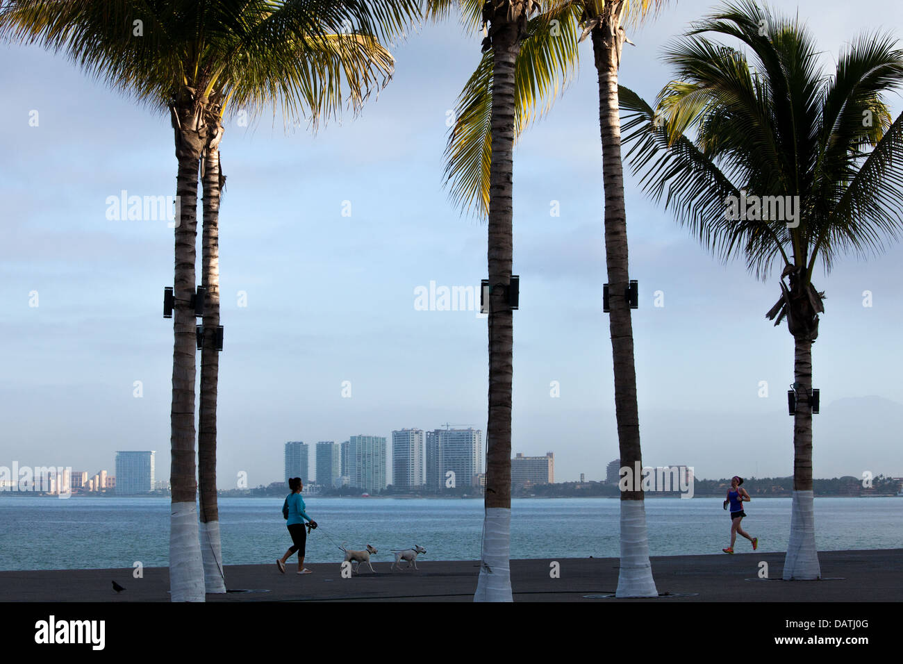 Läufer und Walker an der Strandpromenade von Puerto Vallarta bei Sonnenaufgang, Mexiko. Stockfoto