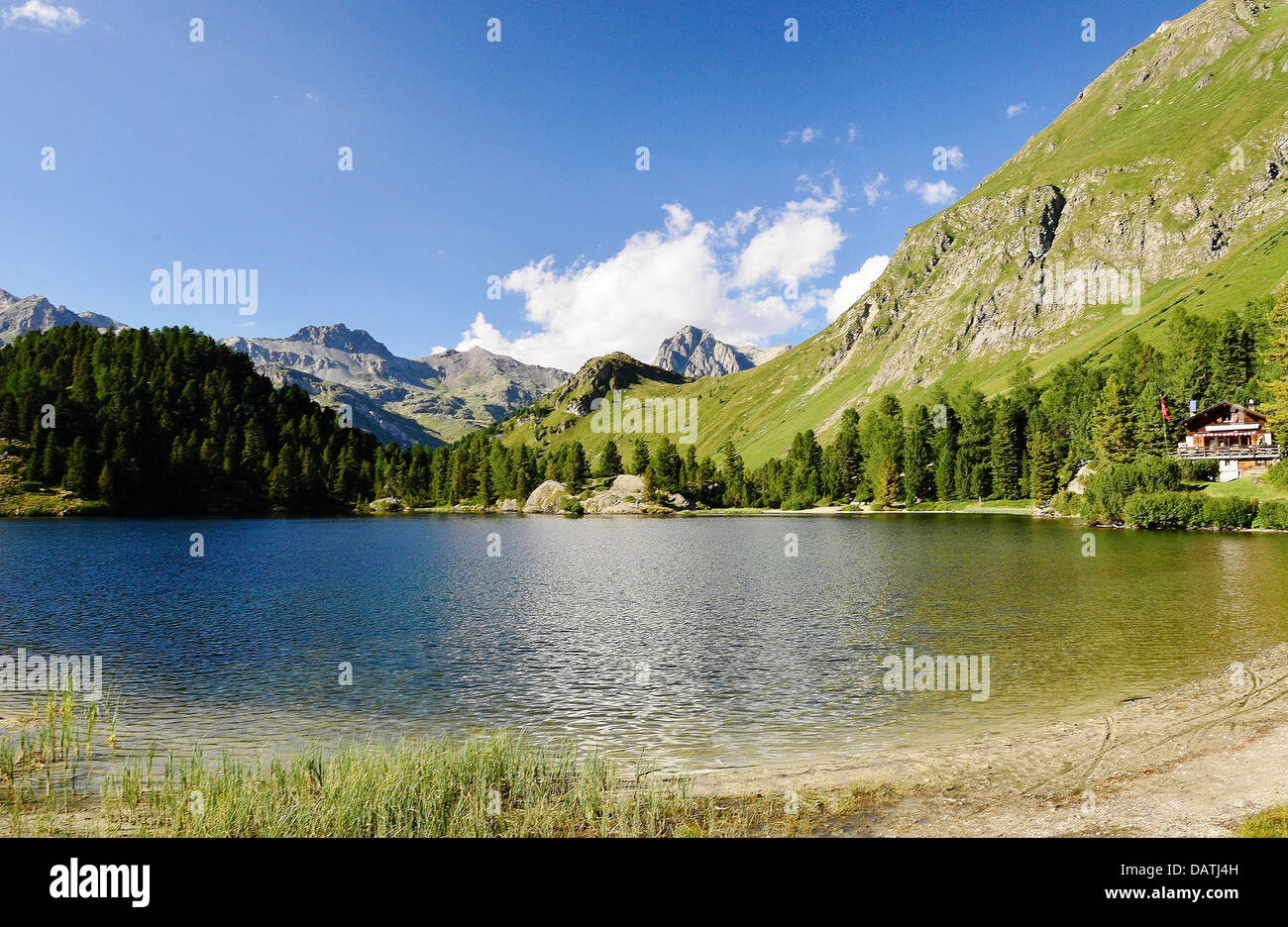 Es ist sehr lohnende von Maloja zum Cavloc-See gehen, wie es Sie mit einer wunderbaren Aussicht bietet! Stockfoto