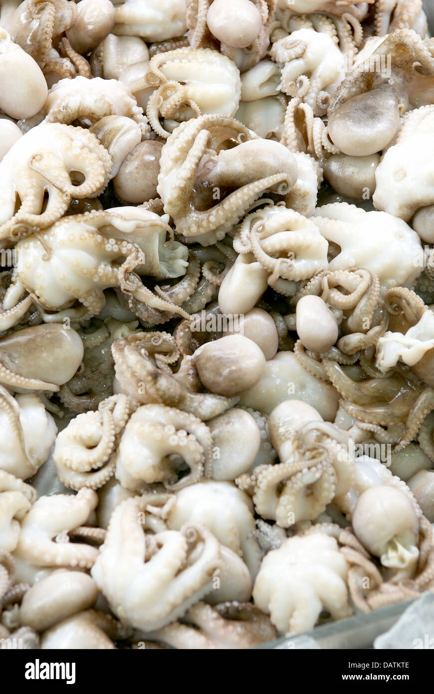 Ein Haufen frische kleine Tintenfische auf Eis Stockfotografie - Alamy