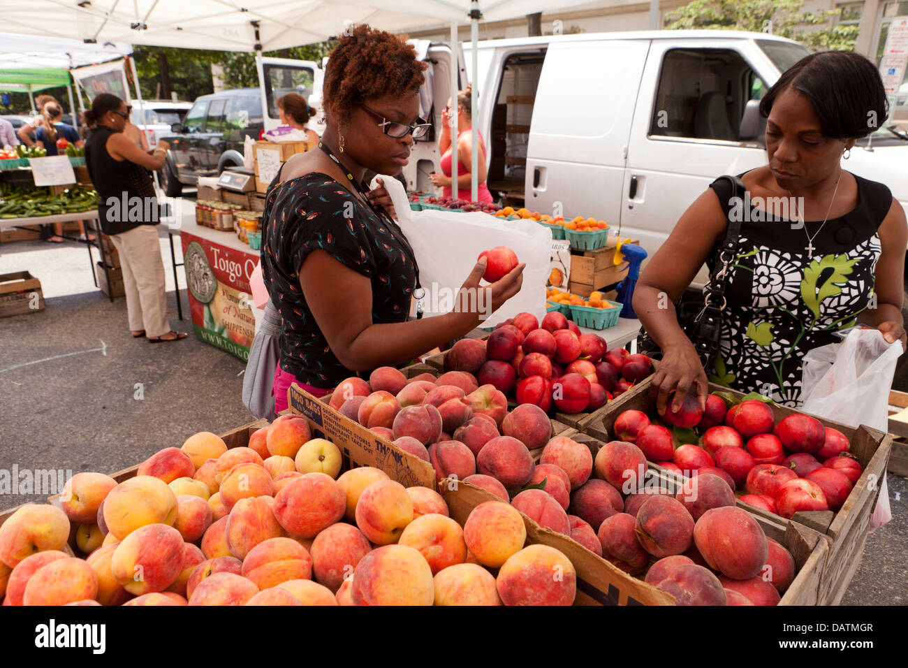 Frauen kaufen Obst auf Bauernmarkt - Washington, DC USA Stockfoto