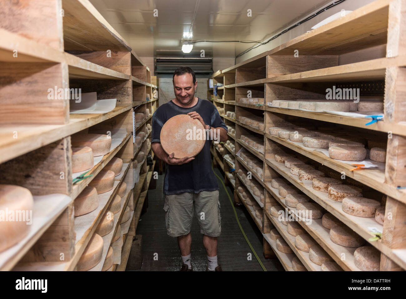Käser Daniel Mounier mit seinem preisgekrönten Ziegen Käse. Ferme des Blancs Chardons. Dunieres, Haute-Loire Auvergne. Frankreich Stockfoto