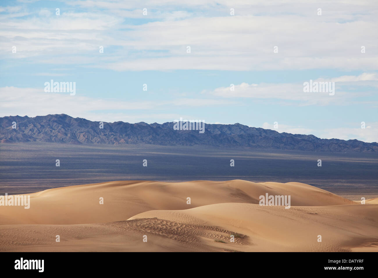 Wüste Stockfoto