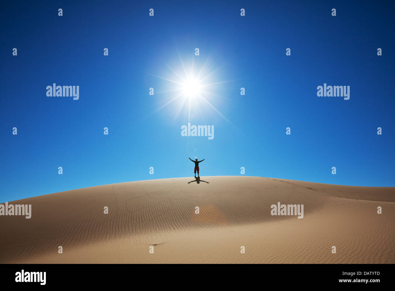 Wandern in der Wüste Stockfoto