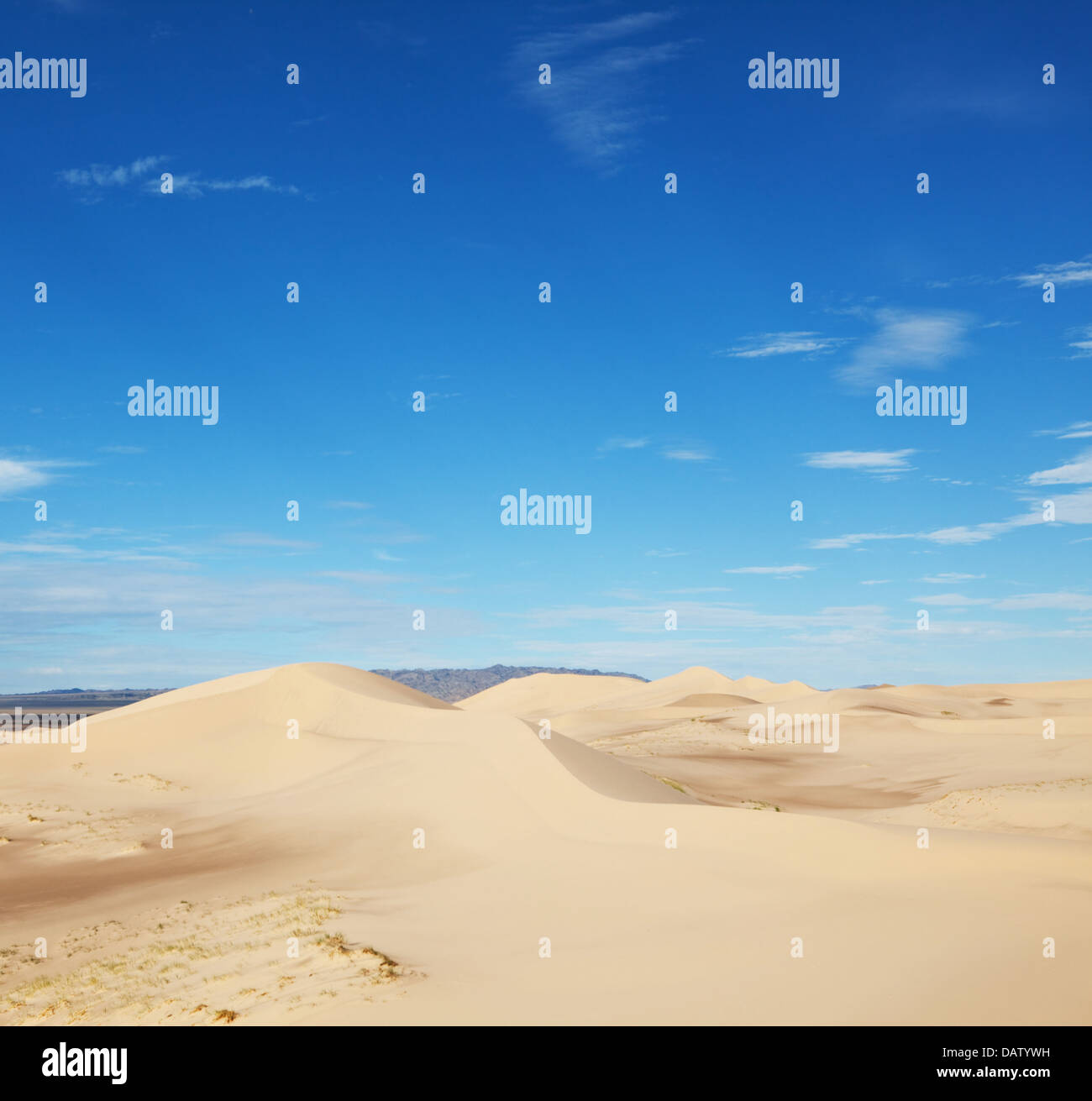 Sandwüste Stockfoto