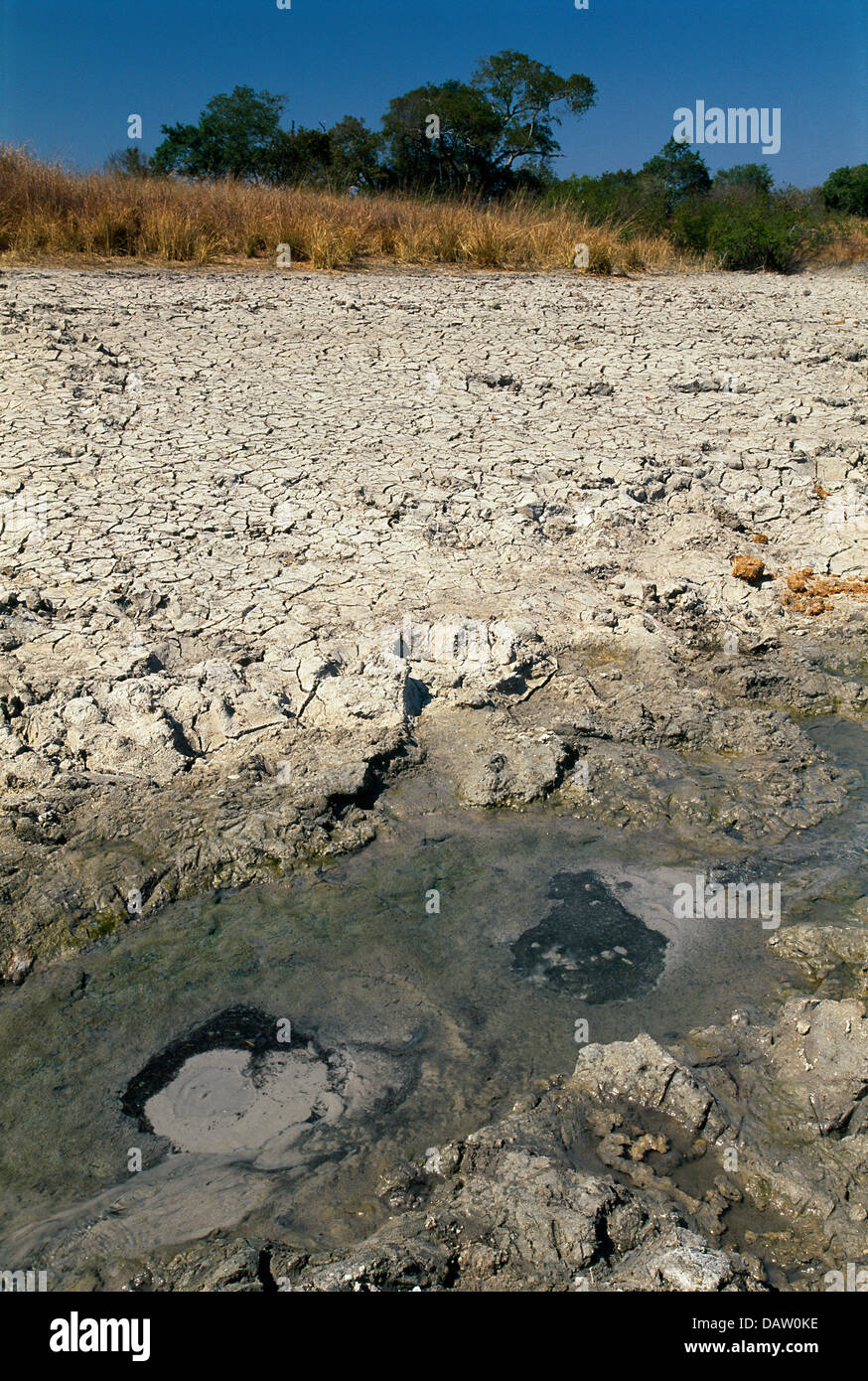 Ein Brunnen mit warmem Wasser neben dem Fluss Kafue, Kafue Nationalpark, Sambia Stockfoto