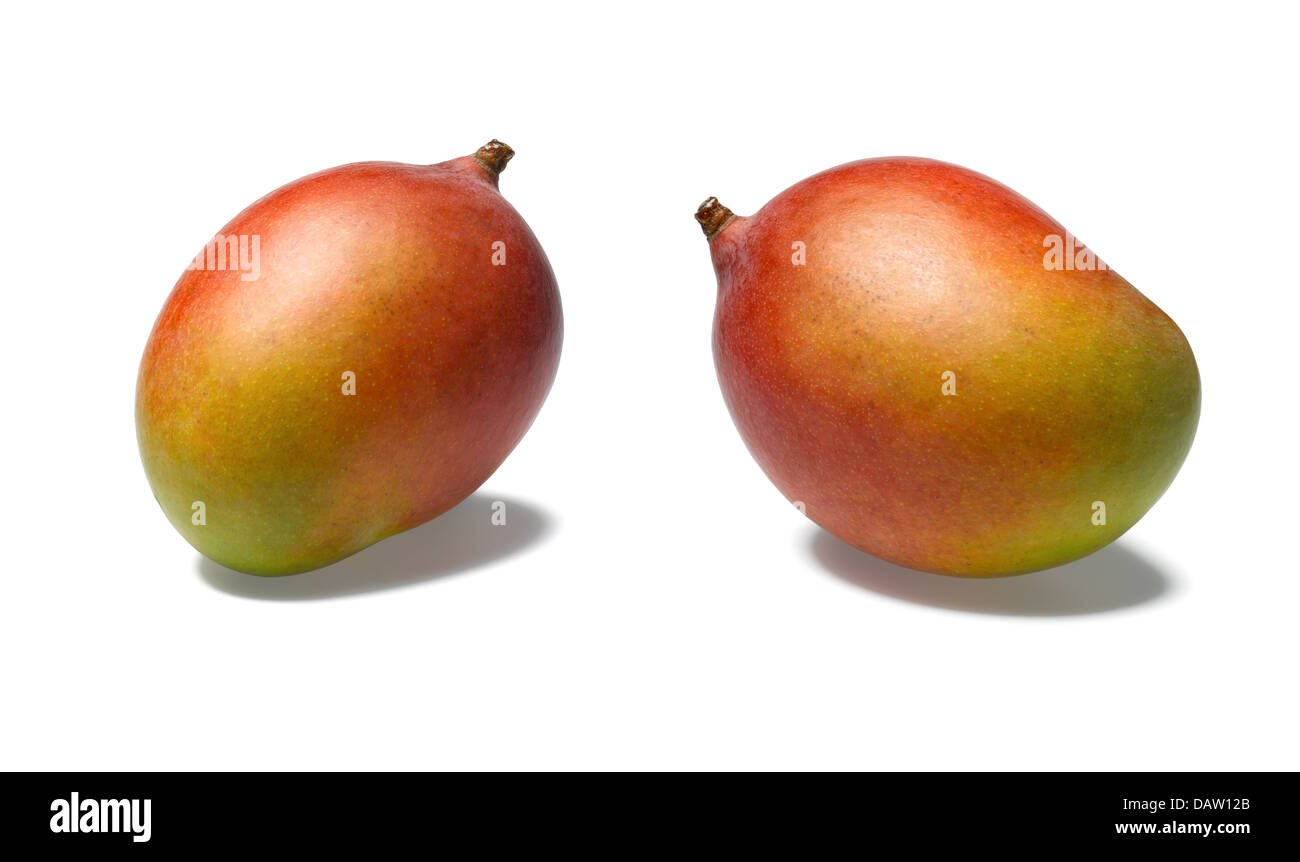 Mango Stockfoto