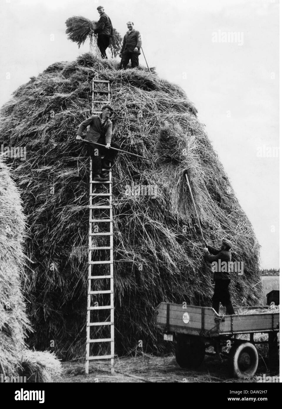 Landwirtschaft, Landarbeit, Ernte, Bauern bei der Heuernte, 1950er