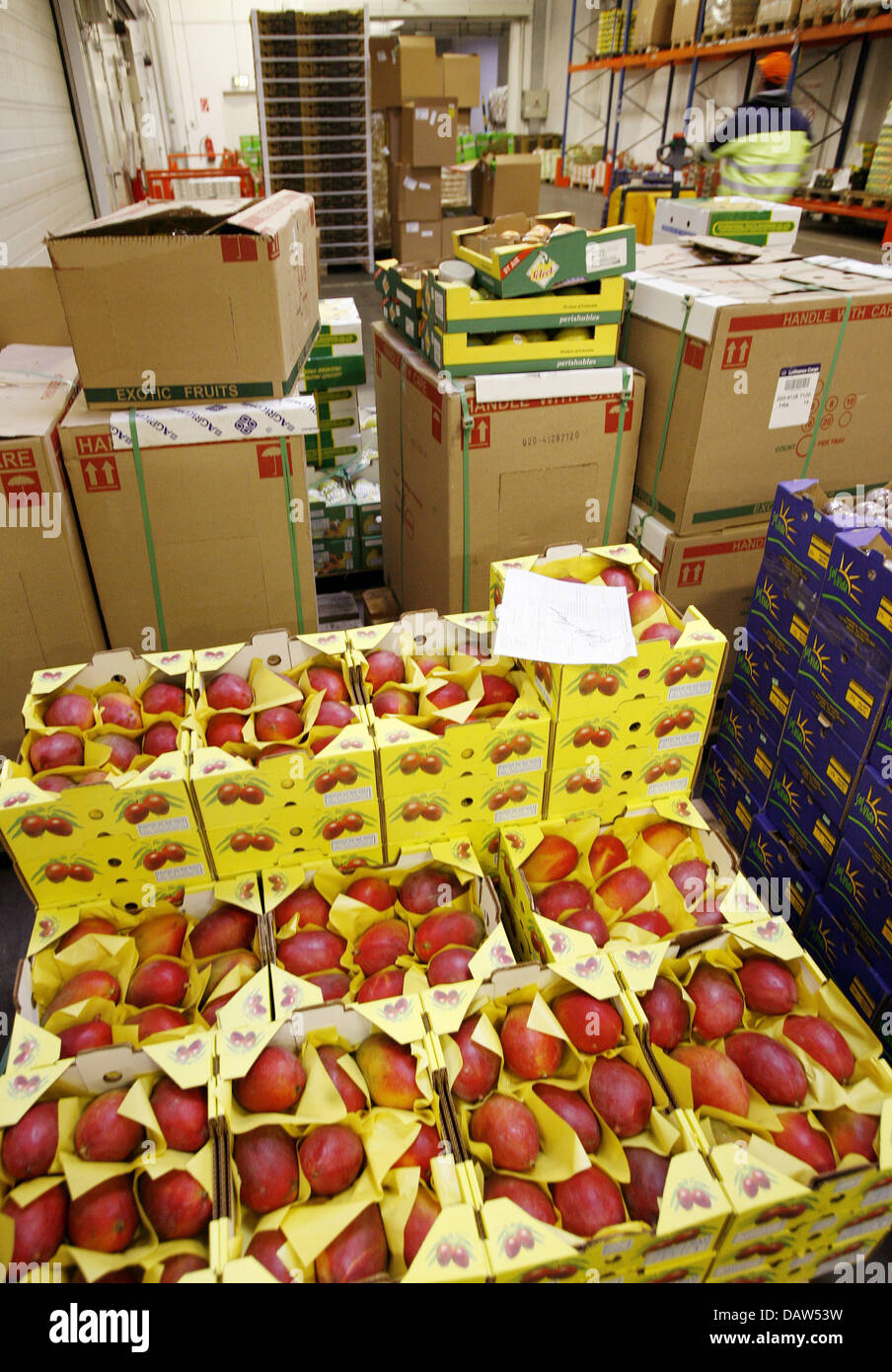 Mangos und andere Früchte abgebildet auf den verderblichen Center Frankfurt am Main, 17. Januar 2007. Europas State-of-the-Art Trans-Luftfrachtsendung Zentrum für verderbliche Güter ist in der Lage, Sortierung, Inbetriebnahme und Speichern von 200.000 Tonnen frisches produzieren pro Jahr. Die PCF bietet 9.000 Quadratmeter großen Stauraum in 18 einzelnen Klimazonen unterteilt. Foto: Frank Mai Stockfoto