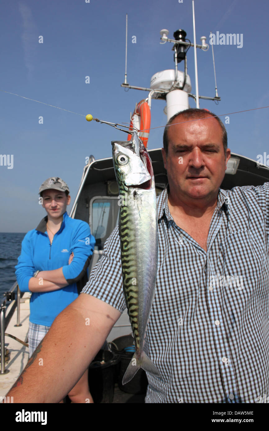 Fischer hält fangen der Makrele Stockfoto