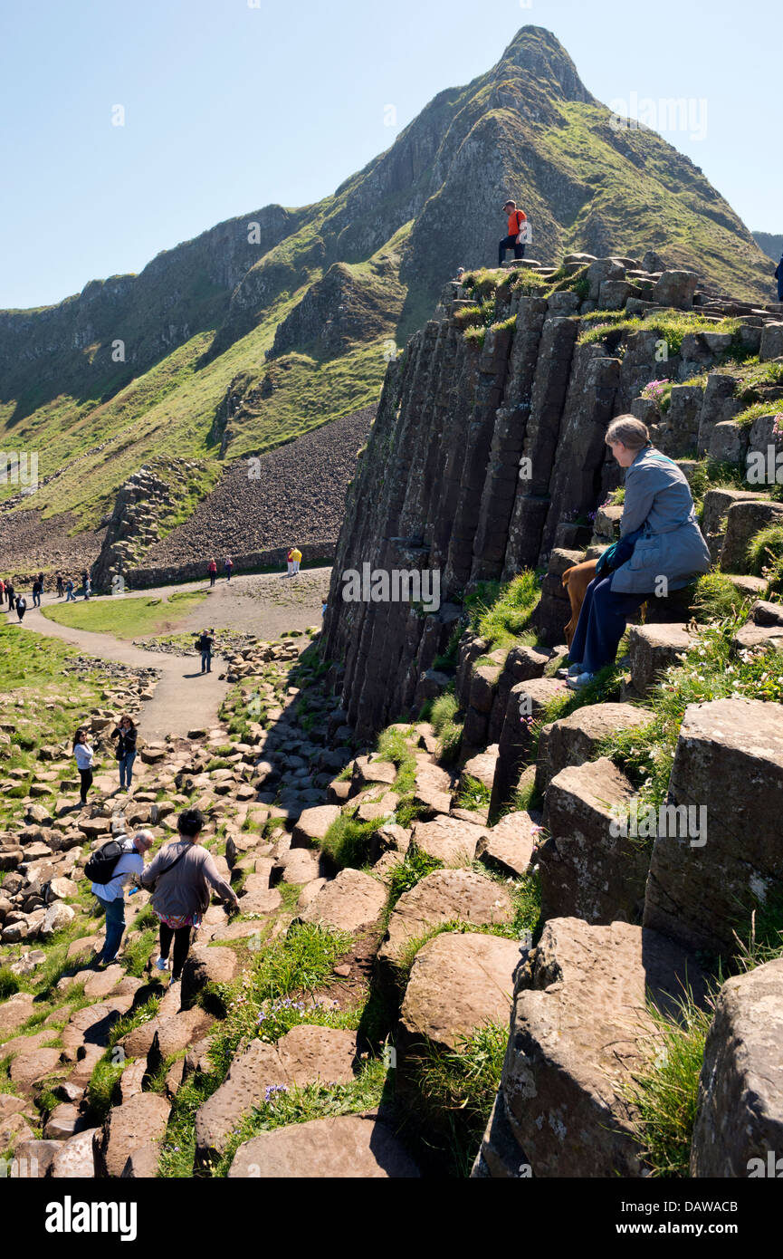 Der Giant's Causeway, County Antrim, Nordirland, Vereinigtes Königreich Stockfoto