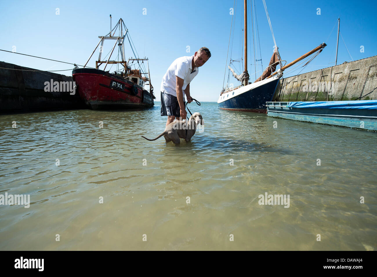 Alten Leigh, Essex. 19. Juli 2013. Ein Hund braucht eine kühlende Paddel mit seinem Besitzer im Meer zwischen zwei Schiffe am Kai. Alten Leigh blickt auf einen anderen Tag 25 C und leichte Brise. Bildnachweis: Allsorts Stock Foto/Alamy Live-Nachrichten Stockfoto