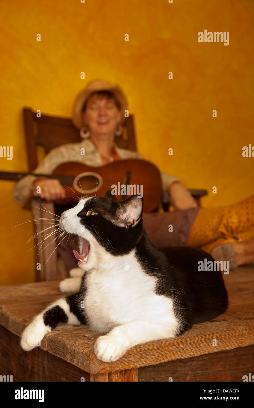 Hübsche westliche Frau mit Gitarre und Katze Stockfoto