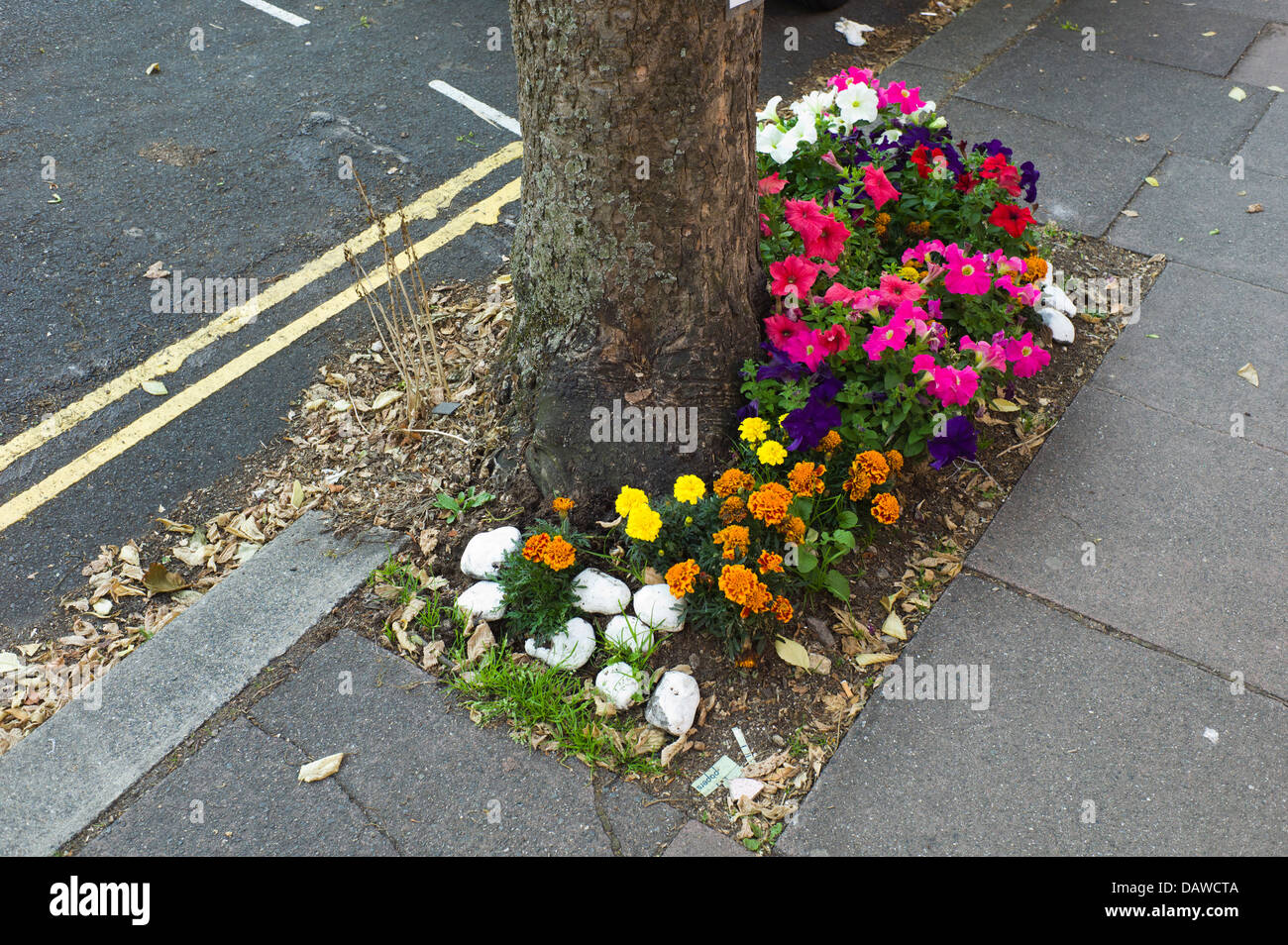 Pop-up-Stadtgarten unter Baum, Brighton, UK Stockfoto