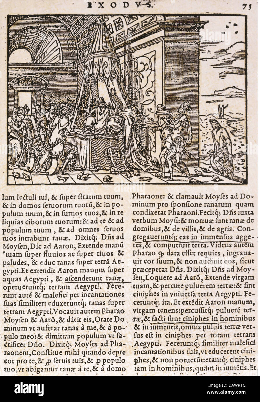 Religion, biblische Szenen, Plagen Ägyptens, Fröschepest, 'Biblia Sacra', gedruckt von Jean de Tournes, Lyon, 1558, Privatsammlung, , Zusatzrechte-Clearences-nicht vorhanden Stockfoto