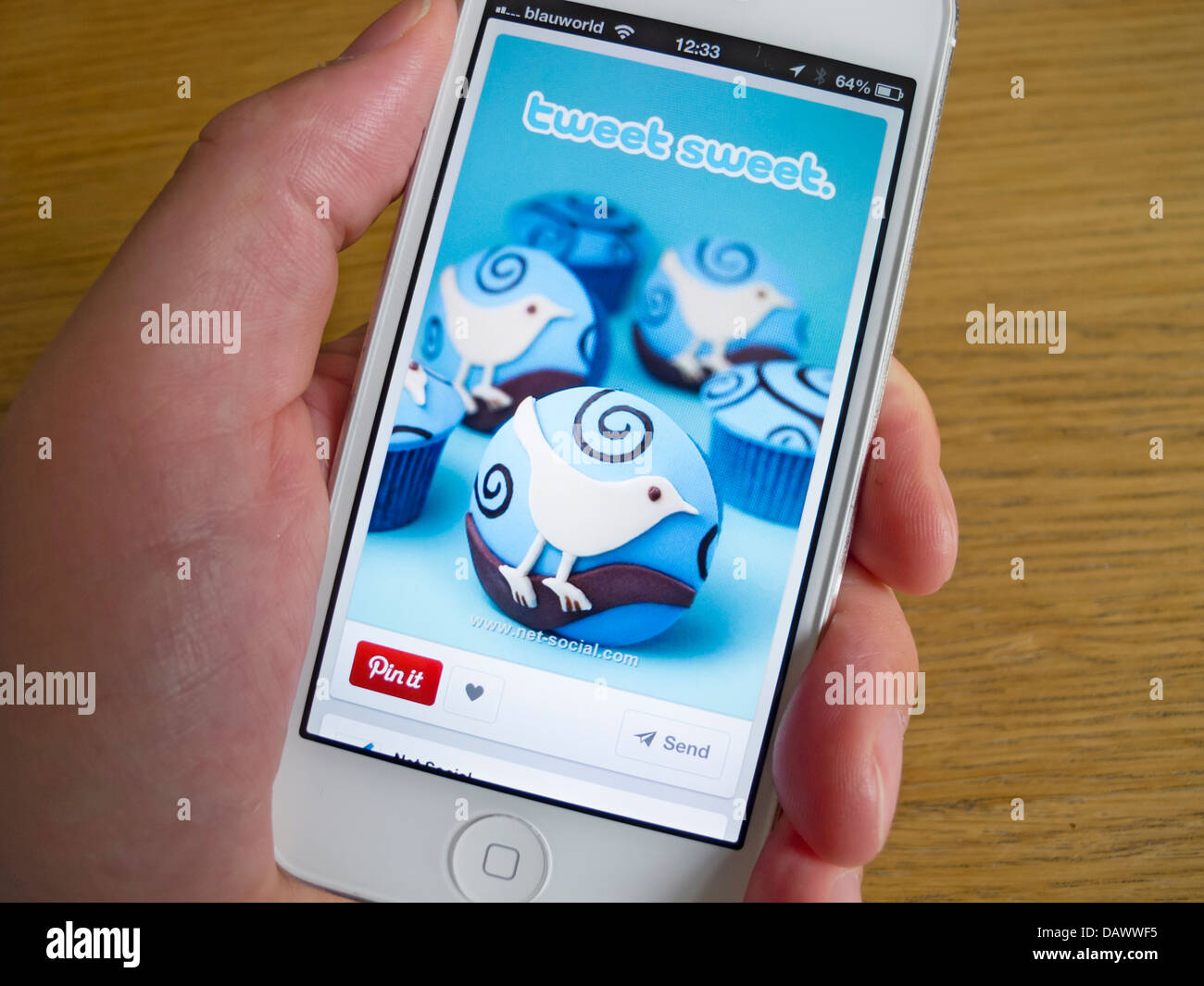 Twitter-feed auf Pinterest social Media und Foto-sharing-app auf dem weißen iPhone 5 smartphone Stockfoto
