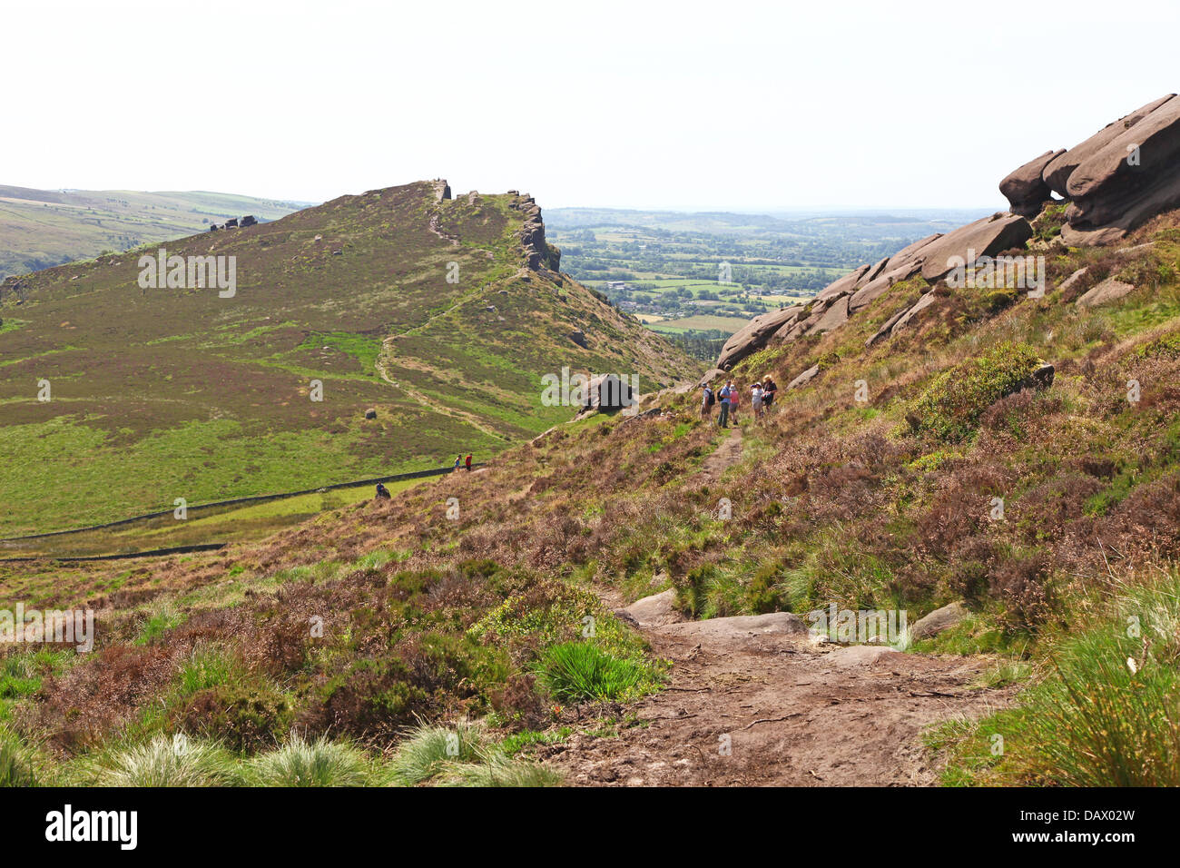 Henne-Cloud und Kakerlaken Staffordshire England UK Stockfoto