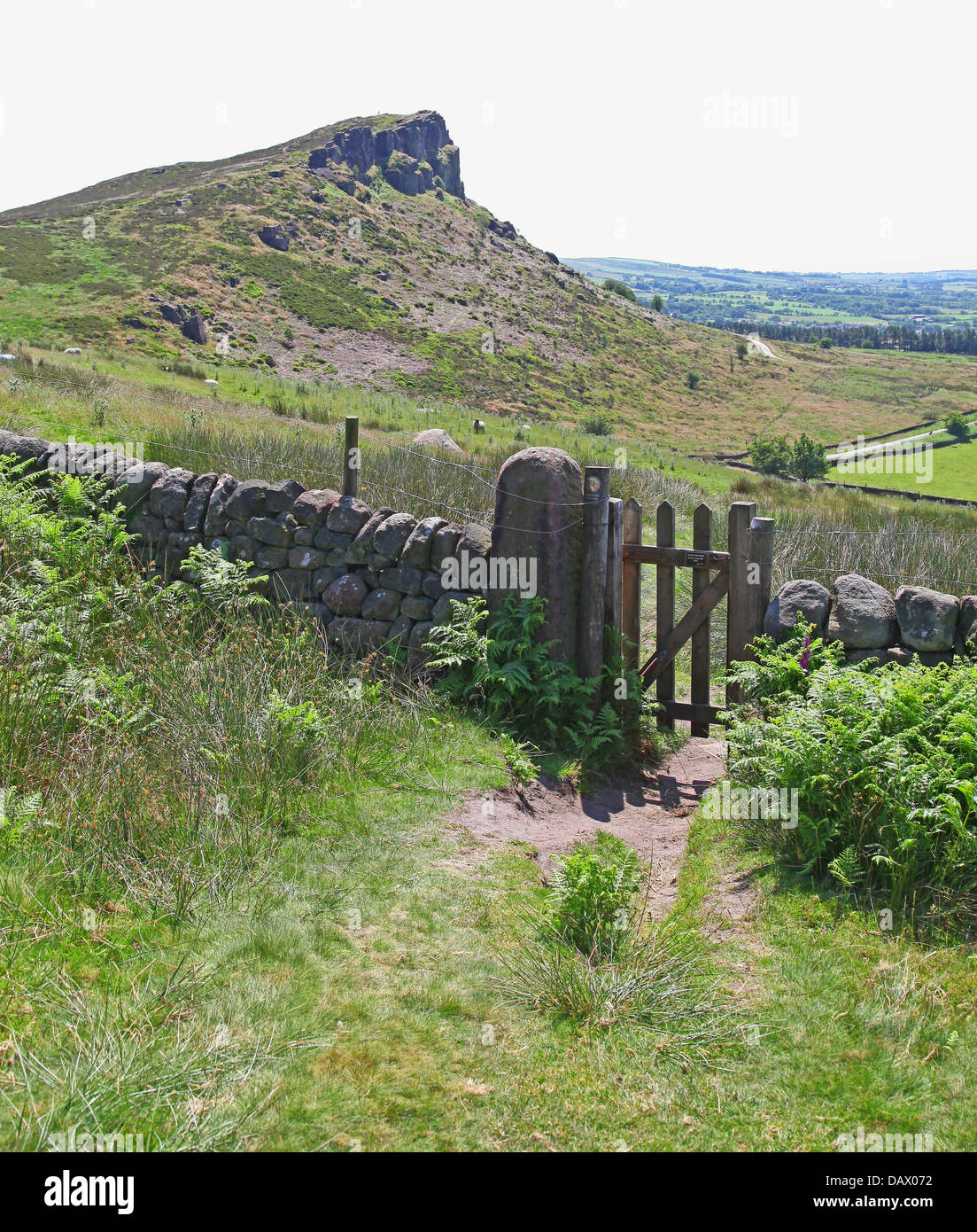 Henne-Cloud und Kakerlaken Staffordshire England UK Stockfoto