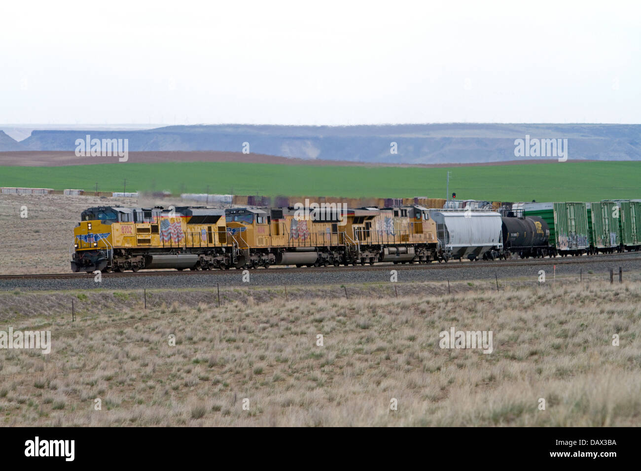 Union Pacific Güterzug in Elmore County, Idaho, USA. Stockfoto