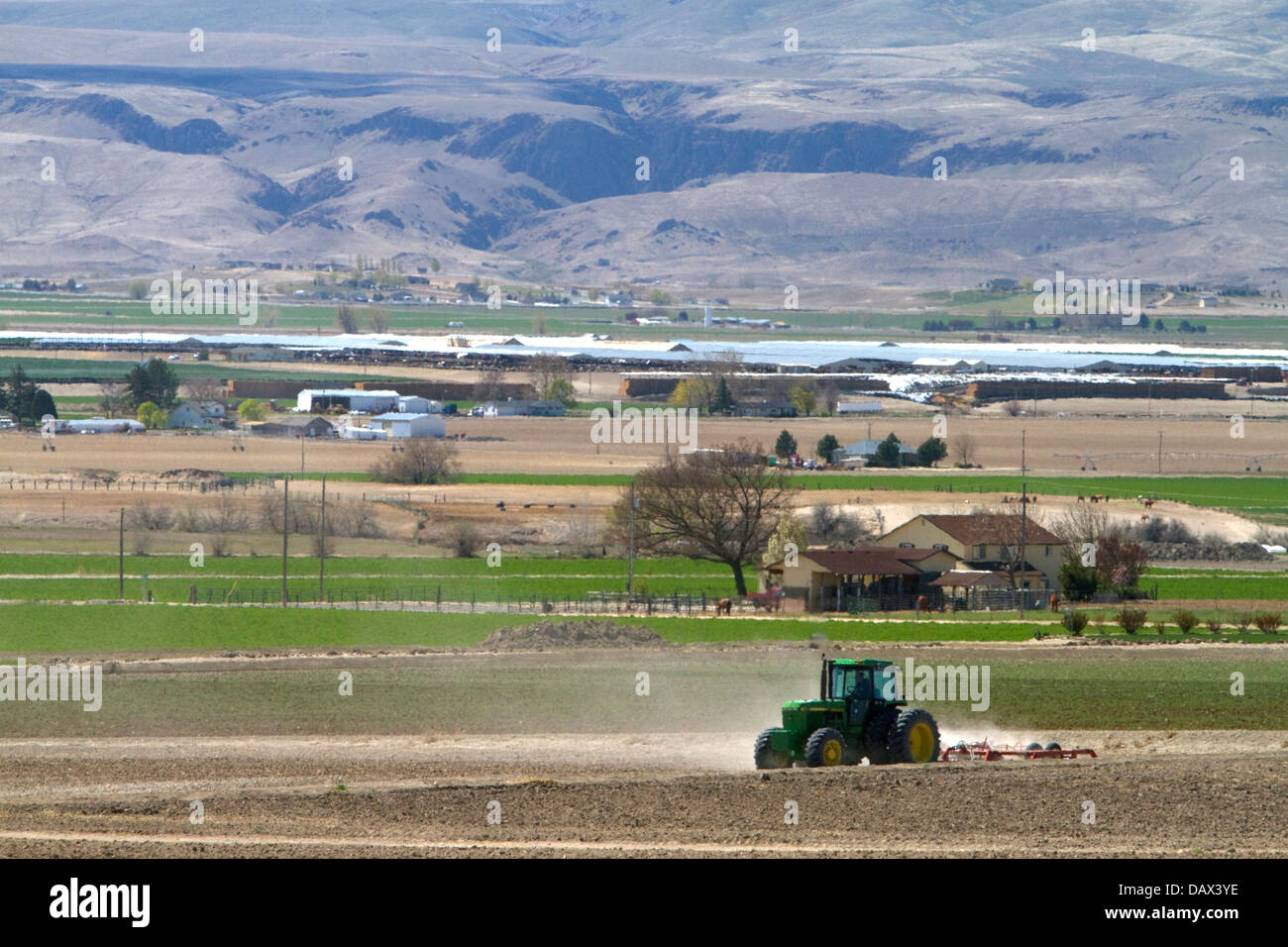 Traktor für Frühjahr Bodenbearbeitung im Canyon County, Idaho, USA Stockfoto